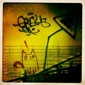sheung wan - hong kong graffiti - cat
