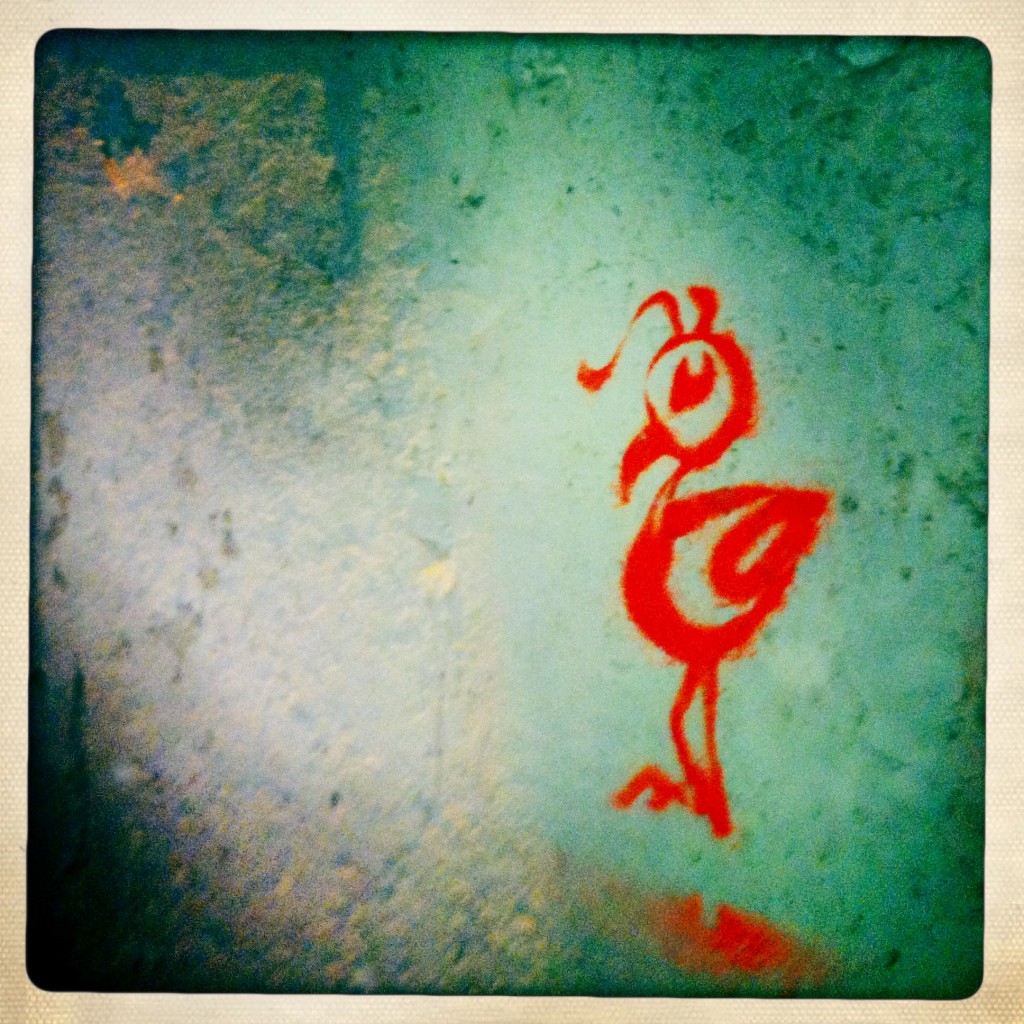 sheung wan - hong kong graffiti - bird